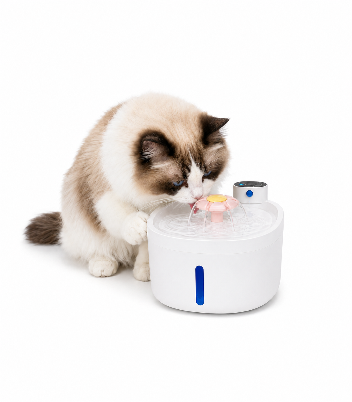 Automatic Circulating Pet Water Fountain