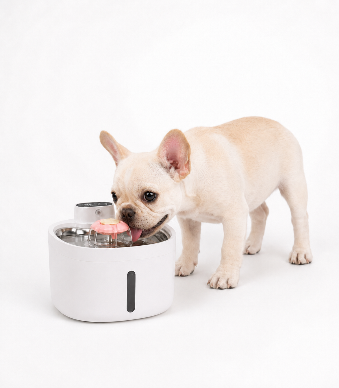 Automatic Circulating Pet Water Fountain