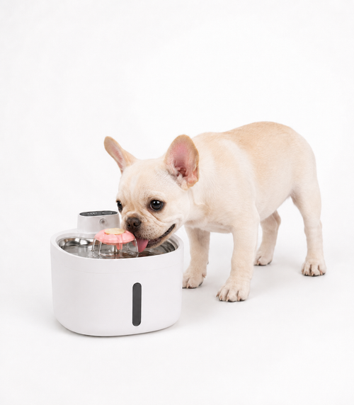 Automatic Circulating Pet Water Fountain