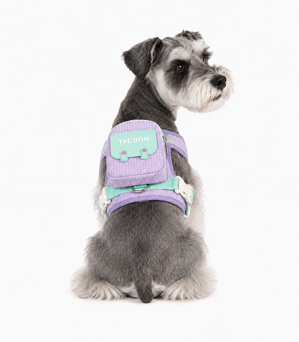 Small & Medium Dog Backpack Harness with Leash+3m Retractable Leash