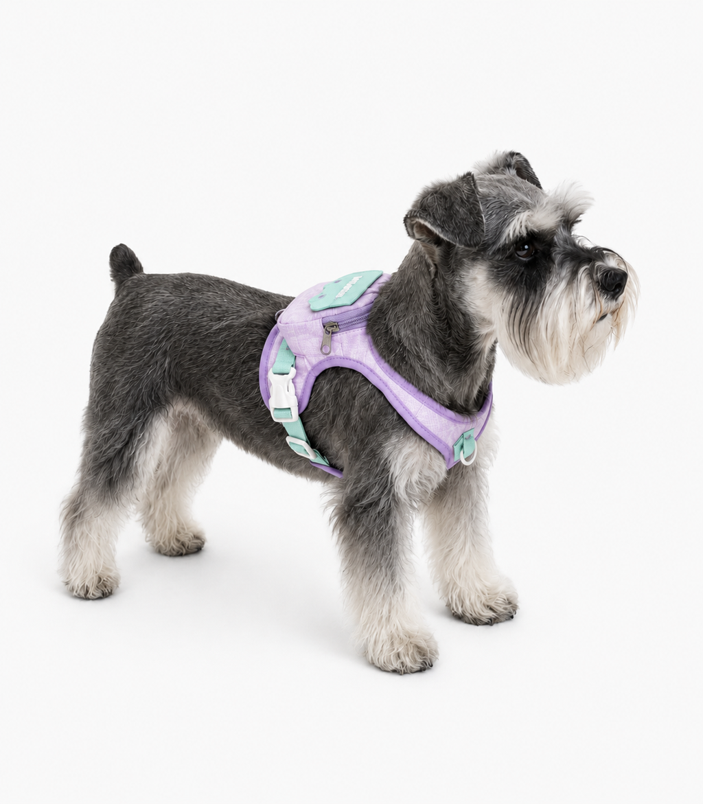 Small & Medium Dog Backpack Harness with Leash+3m Retractable Leash