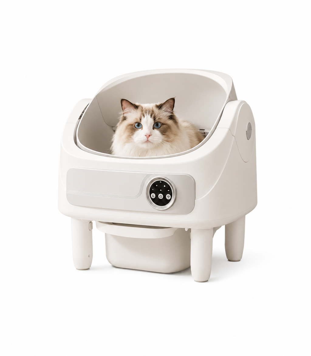Extra-Large Open-Automatic Litter Box