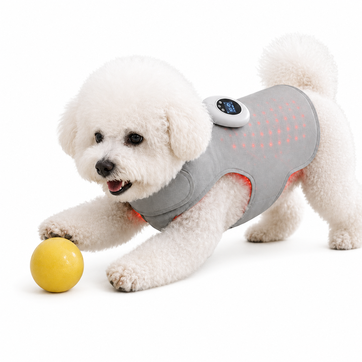 Wearable Pet Red Light Therapy Wrap for Dogs & Cats