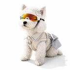 Windproof UV Protection Dog Goggles