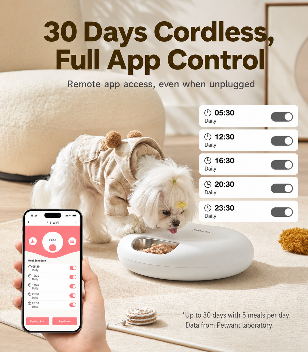 Smart Timed & Portion-Control Remote Pet Feeder