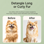 2-in-1 Pet Hair Dryer & Grooming Brush