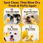2-in-1 Pet Hair Dryer & Grooming Brush