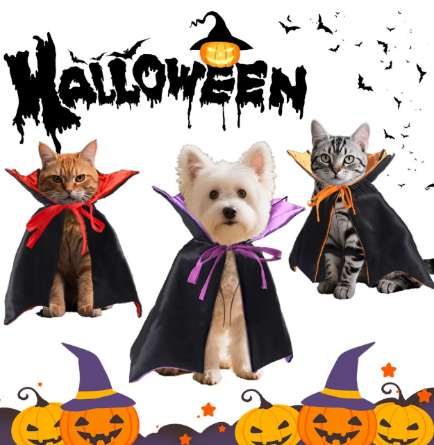 Bat Vampire Cape Costume for Cats & Small Dogs