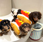 Funny Hot Dog Costume for Small Dogs & Cats – Cute Cartoon Pet Outfit