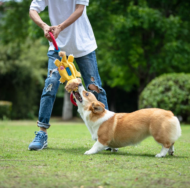 Durable Squeaky Tug Ring Dog Toy