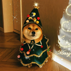 Christmas Dog Costume Cape – Winter Holiday Outfit for Small Dogs