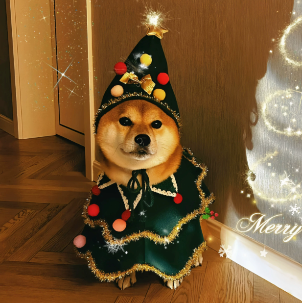 Christmas Dog Costume Cape – Winter Holiday Outfit for Small Dogs