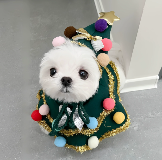 Christmas Dog Costume Cape – Winter Holiday Outfit for Small Dogs