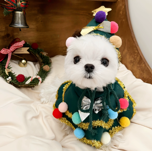 Christmas Dog Costume Cape – Winter Holiday Outfit for Small Dogs