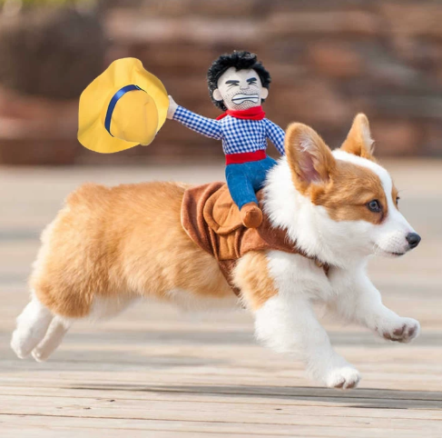 Funny Cowboy Rider Dog Costume – Halloween Pet Outfit