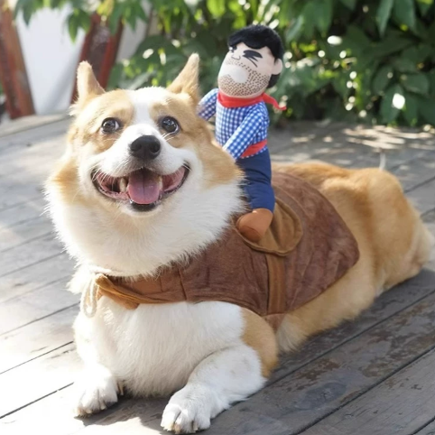 Funny Cowboy Rider Dog Costume – Halloween Pet Outfit