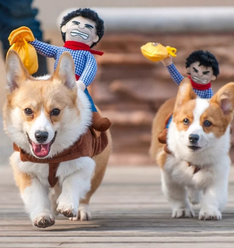 Funny Cowboy Rider Dog Costume – Halloween Pet Outfit