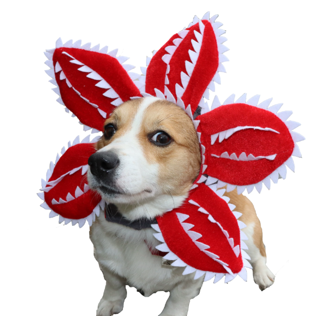 Funny Venus Flytrap Pet Costume Hat – Halloween Headwear for Cats & Dogs