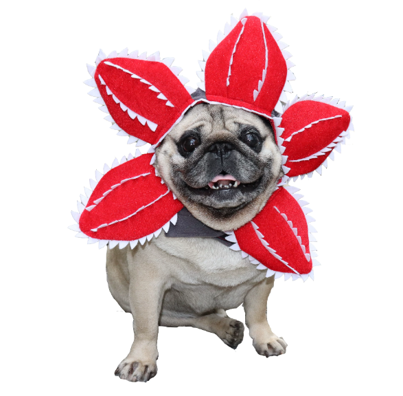 Funny Venus Flytrap Pet Costume Hat – Halloween Headwear for Cats & Dogs