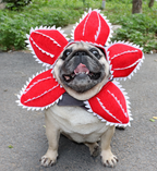 Funny Venus Flytrap Pet Costume Hat – Halloween Headwear for Cats & Dogs