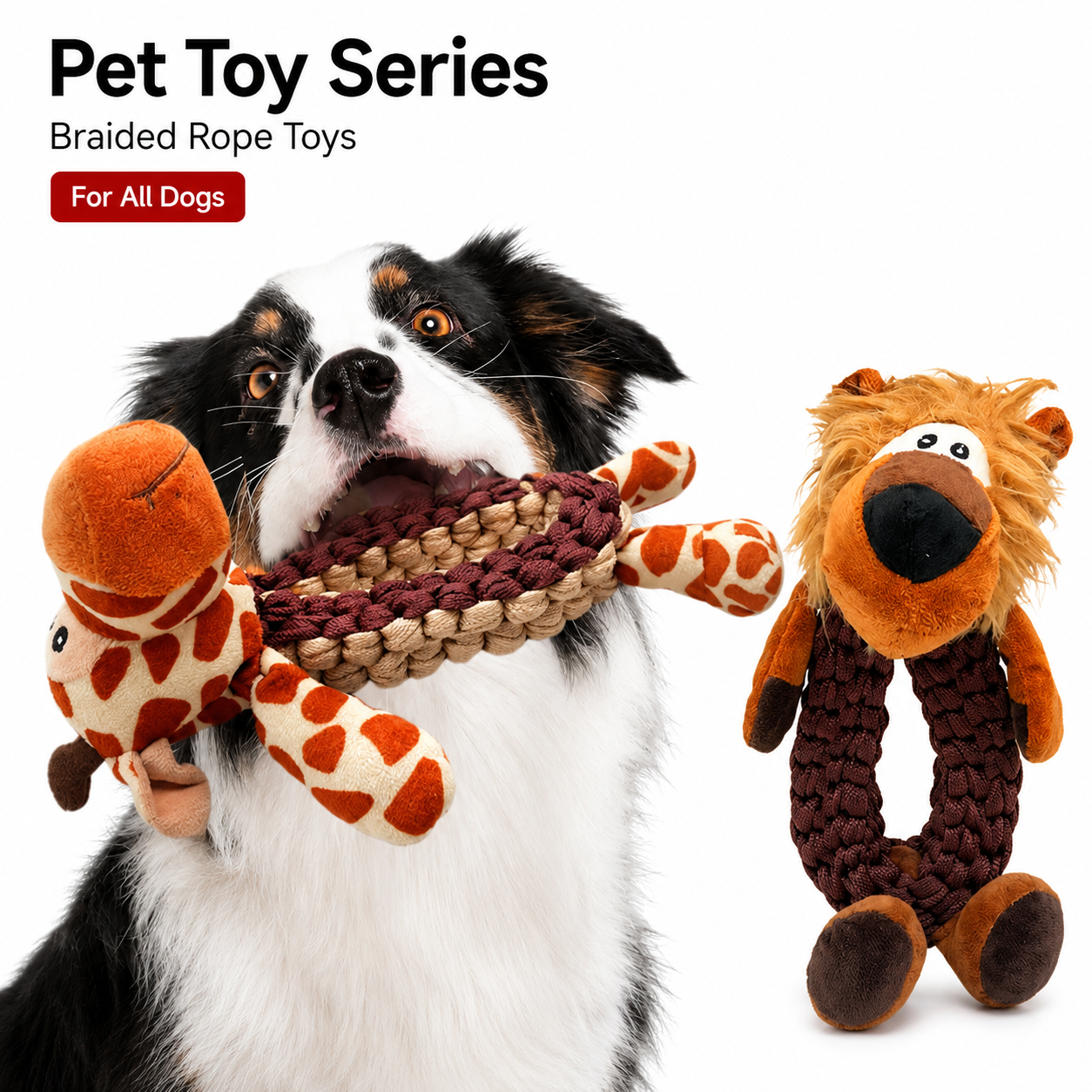 Durable Squeaky Rope Dog Toy for Chewing Teeth Cleaning Tugging and Interactive Play