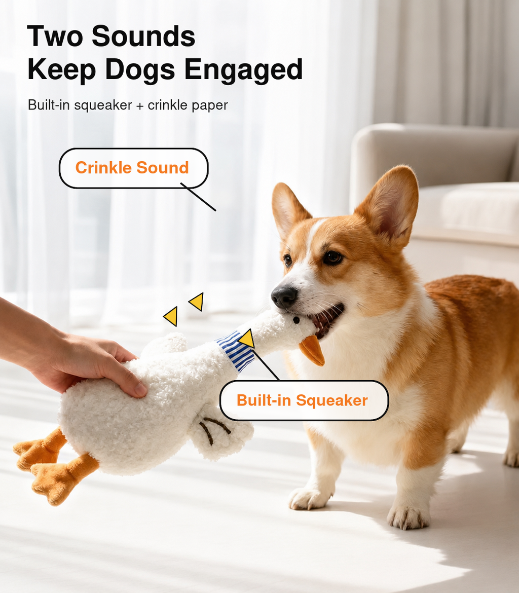 Pet Teething Wobble Toy