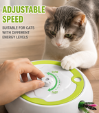 Automatic Whack-A-Mole Cat Toy – Interactive Electric Fun