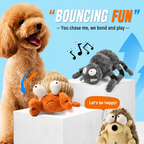 Rechargeable Interactive Dog Toy for Active Play