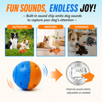 Rechargeable Interactive Dog Toy for Active Play