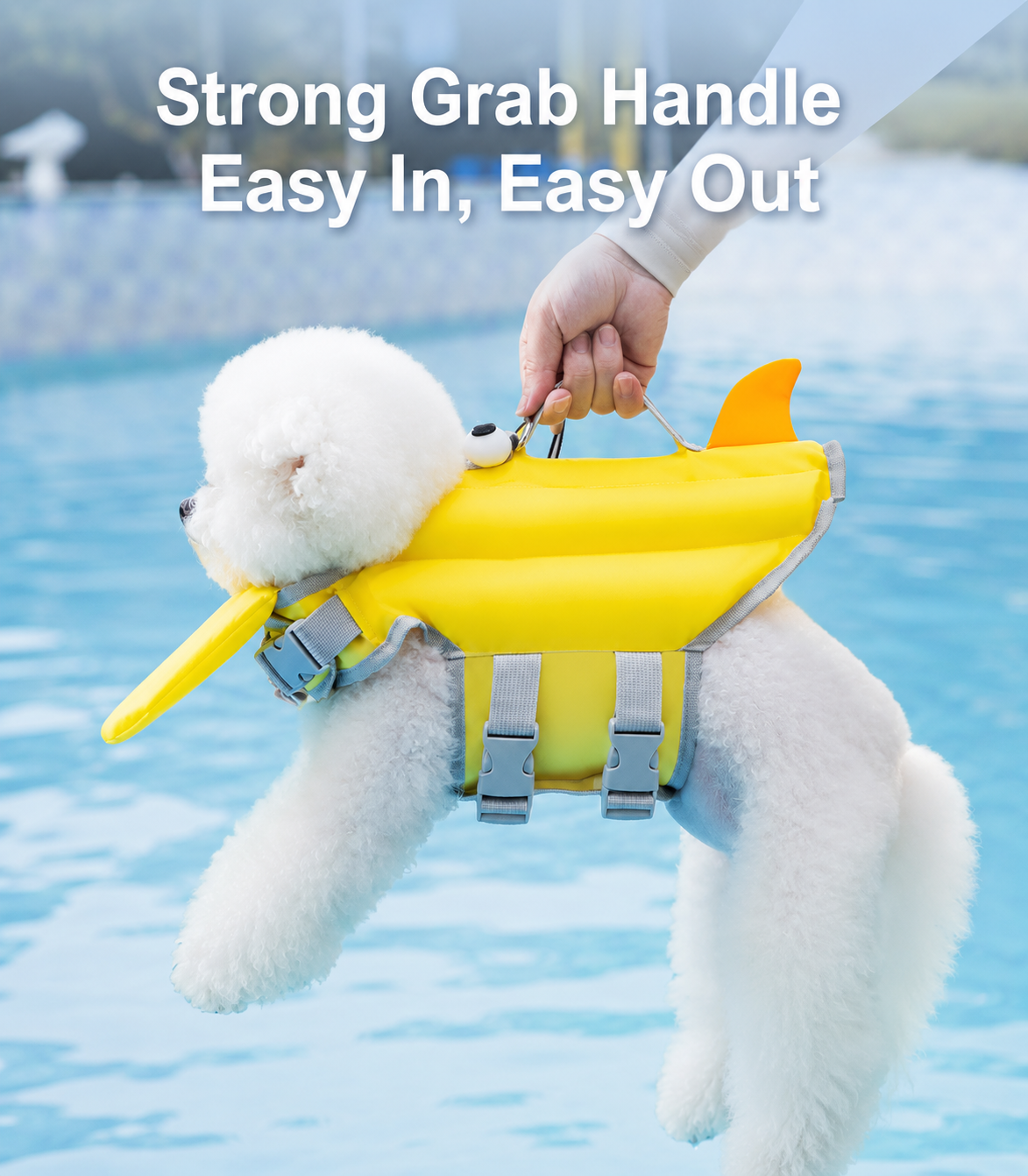 Cute Eyes Summer Swimsuit for Small Dogs