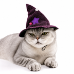 Purple Witch Hat & Cape Pet Costume – Halloween Wizard Outfit for Cats & Dogs