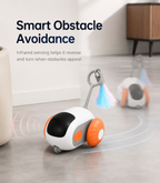 Smart Remote Control Racing Car – Electric Toy Car for Pets