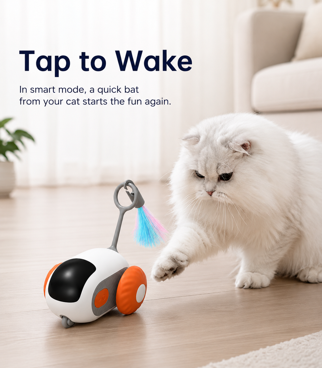 Smart Remote Control Racing Car – Electric Toy Car for Pets
