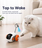 Smart Remote Control Racing Car – Electric Toy Car for Pets