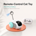 Smart Remote Control Racing Car – Electric Toy Car for Pets