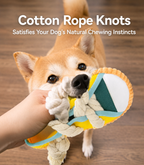 Squeaky Slipper Chew Toy for Dogs