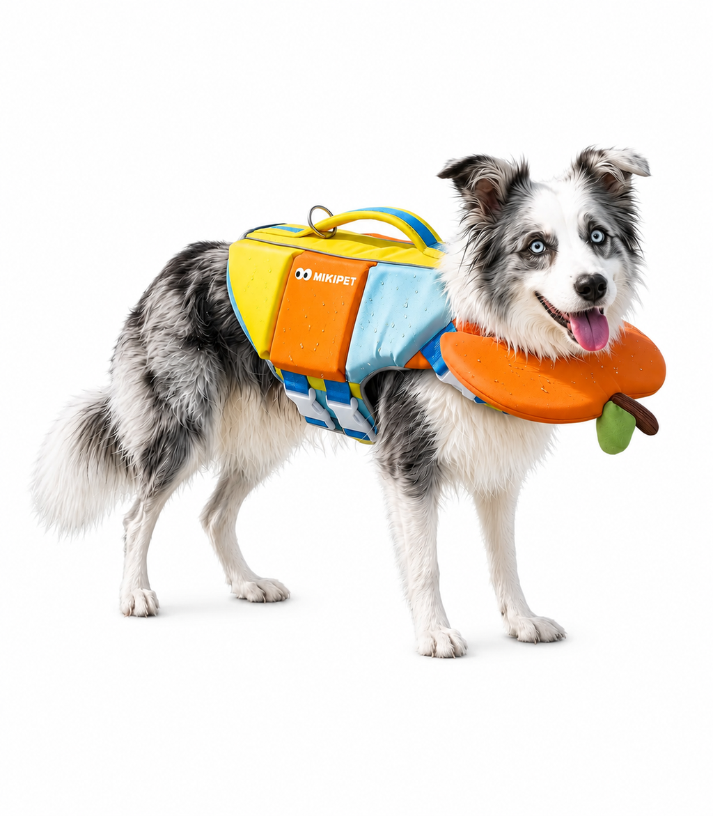 High-Buoyancy Dog Life Jacket for Small & Medium & Large Dogs
