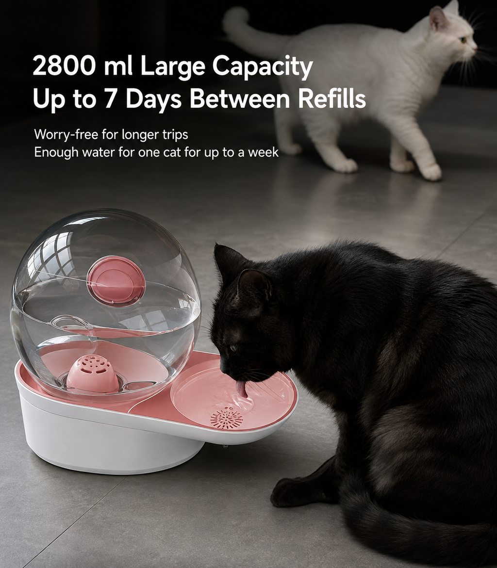 Gravity-Fed Automatic Pet Water Dispenser for Cats & Dogs – No Electricity Required