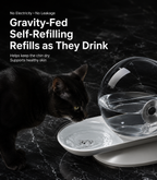 Gravity-Fed Automatic Pet Water Dispenser for Cats & Dogs – No Electricity Required