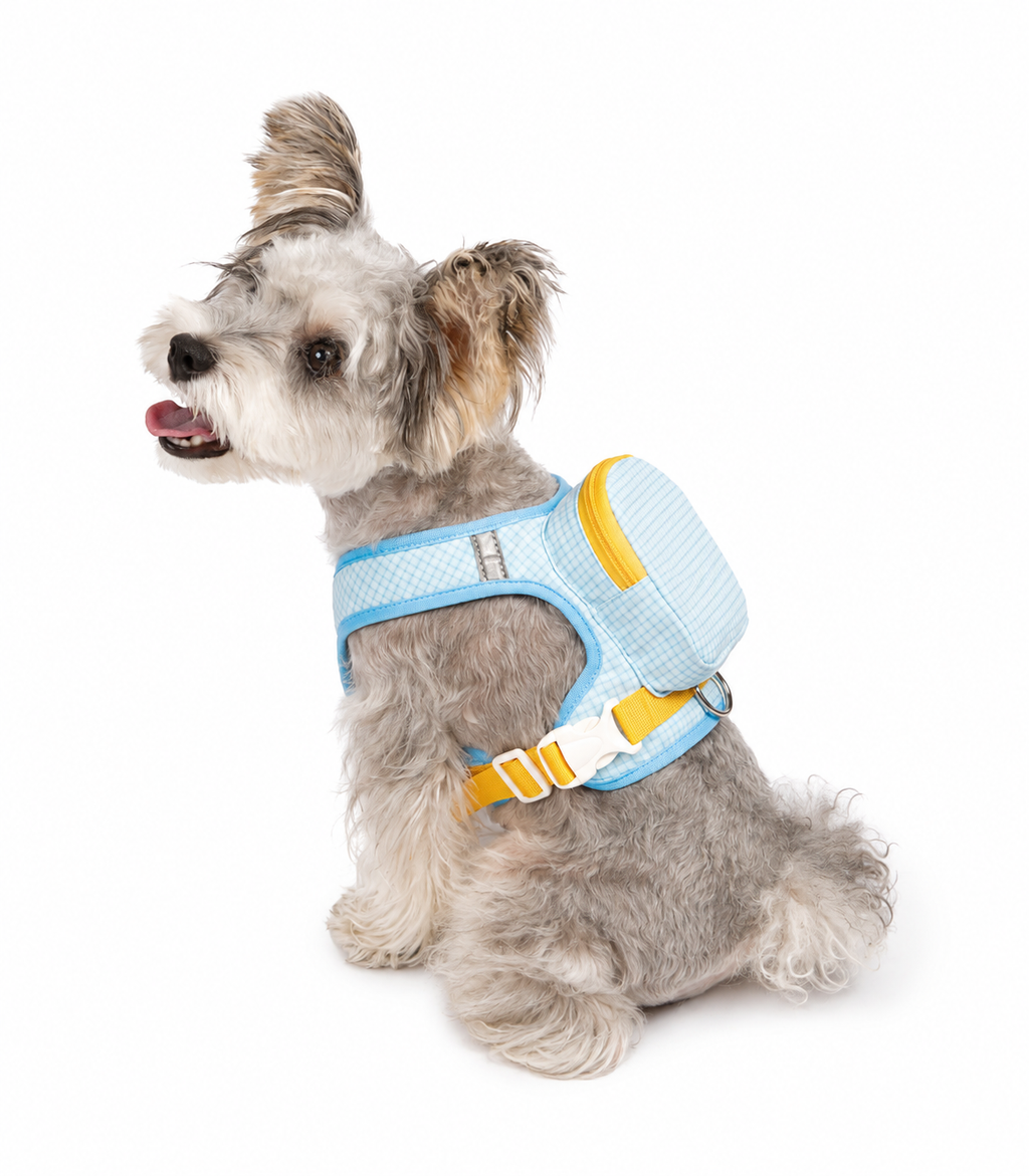 Small & Medium Dog Backpack Harness with Leash+3m Retractable Leash
