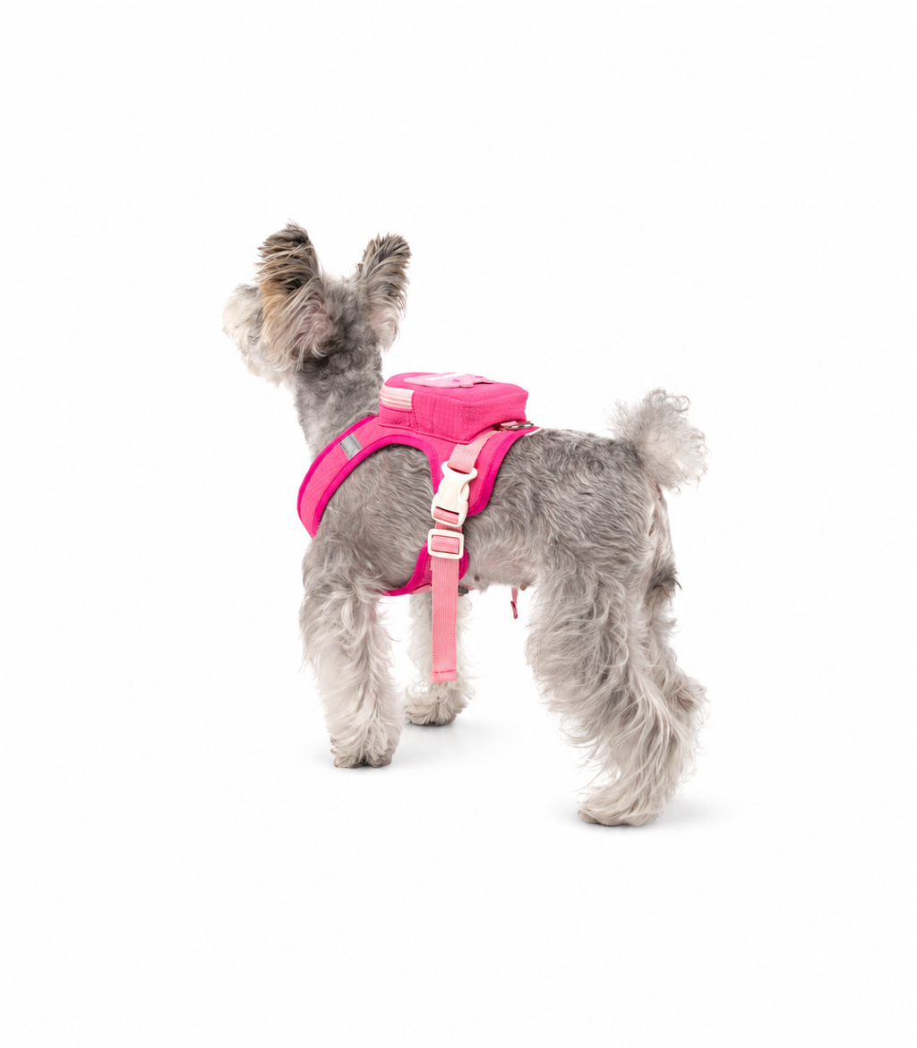 Small & Medium Dog Backpack Harness with Leash+3m Retractable Leash