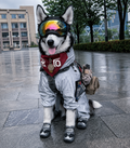 Waterproof Reflective Dog Raincoat – Full-Body Four-Leg Outdoor Jumpsuit
