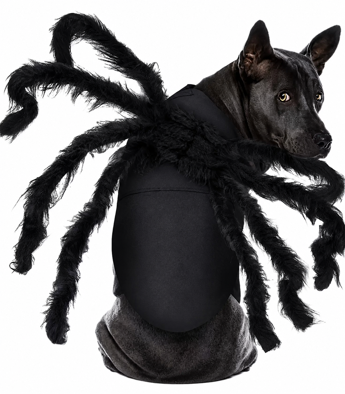 Pet Spider Halloween Costume – Plush Funny Outfit for Dogs & Cats