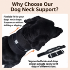 Breathable Dog Neck Support Brace