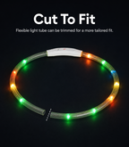 USB Rechargeable LED Light-Up Dog Collar