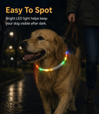 USB Rechargeable LED Light-Up Dog Collar