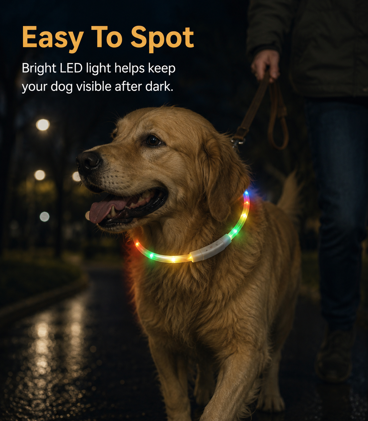 USB Rechargeable LED Light-Up Dog Collar