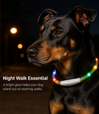 USB Rechargeable LED Light-Up Dog Collar