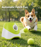 Best-Selling Automatic Dog Ball Launcher