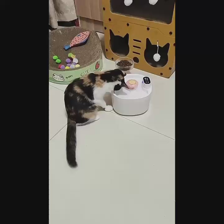 Automatic Circulating Pet Water Fountain